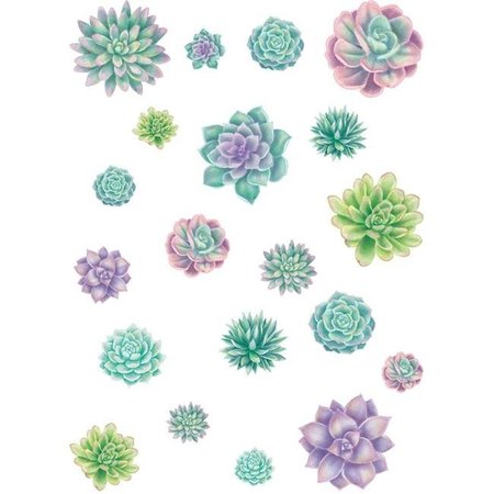 TEACHER CREATED RESOURCES Teacher Created Resources TCR8590-3 Rustic Bloom Succulents Accents - Assorted Size - Pack of 3 TCR8590-3
